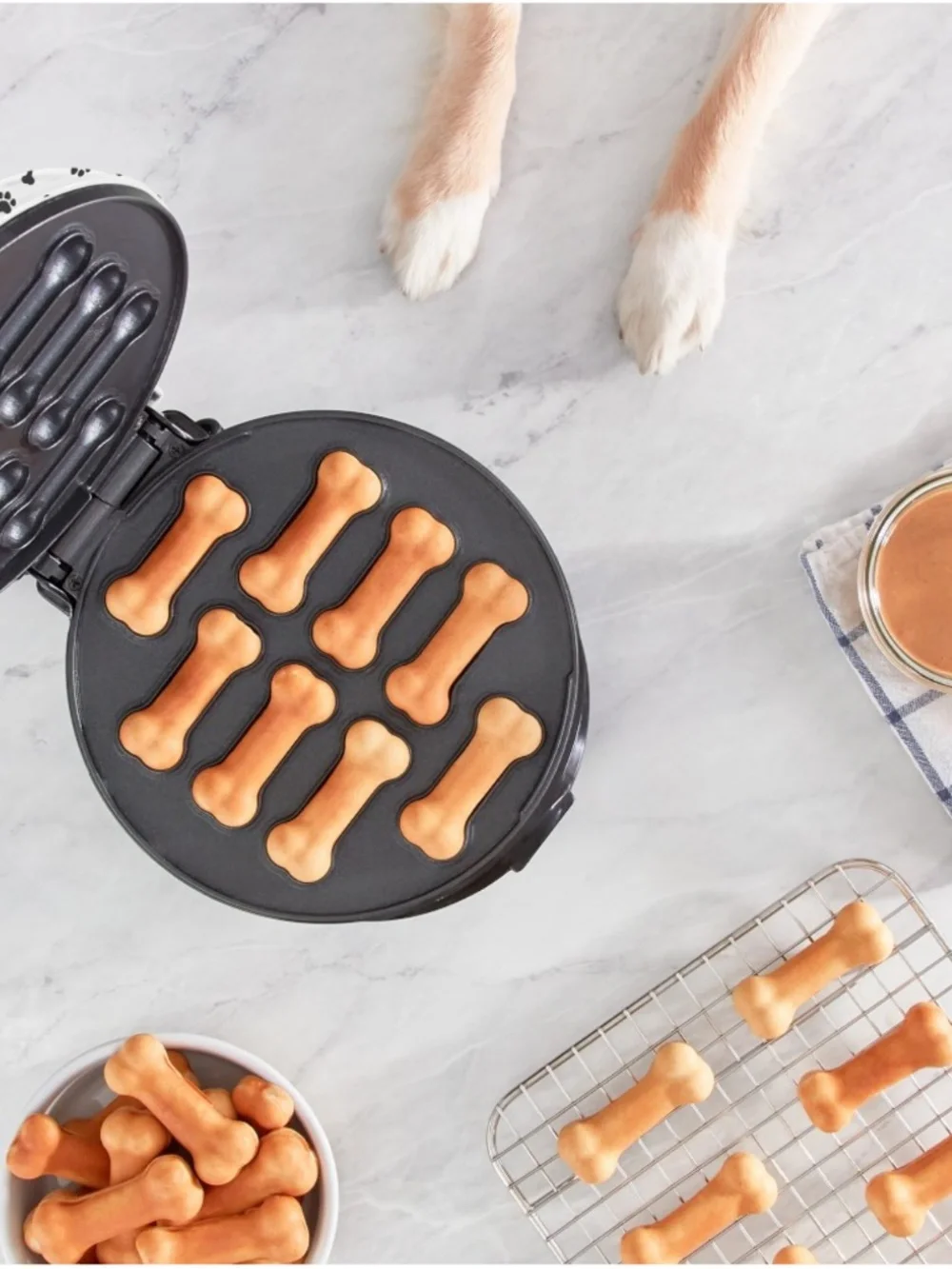 Dash Dog Treat Maker *NIB*